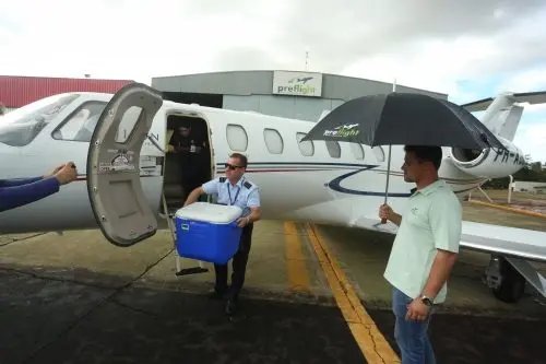 Crian&ccedil;a de Itaja&iacute; doa cora&ccedil;&atilde;o para menino de S&atilde;o Paulo