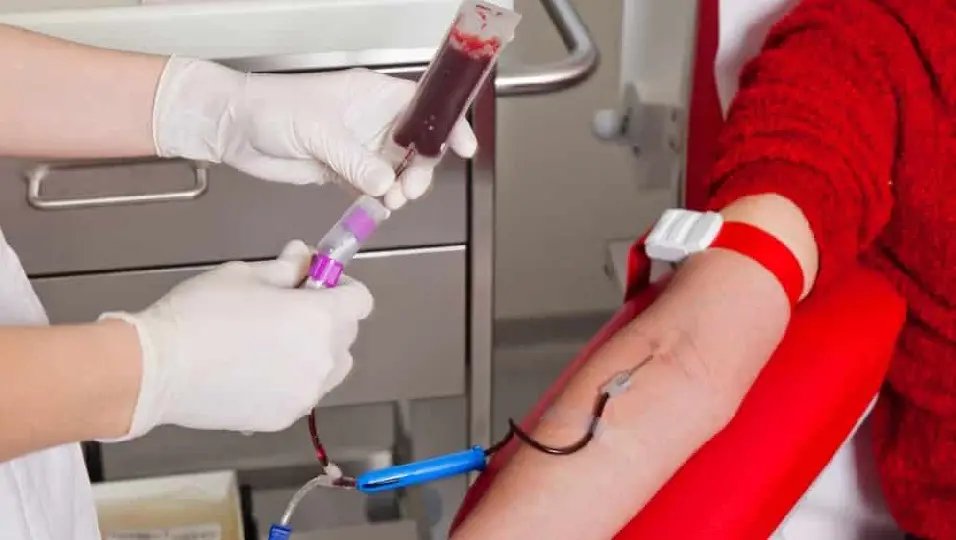 Confira as datas dispon&iacute;veis para a doa&ccedil;&atilde;o de sangue no Hemosc
