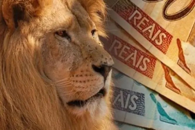 Mais de 700 mil contribuintes caíram na malha fina
