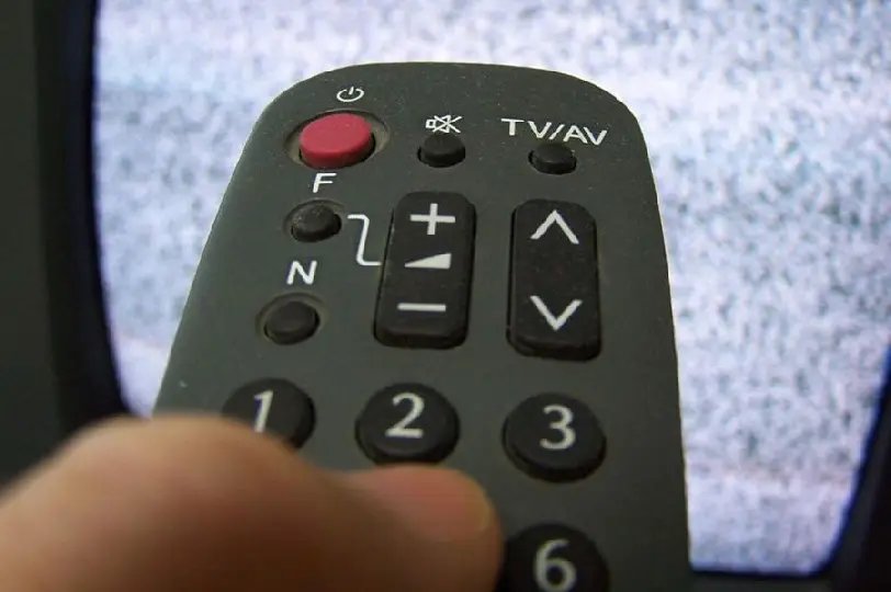 Comissão aprova detenção para gatonet