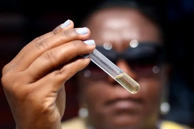 Ver&atilde;o exige mais cuidados com a prolifera&ccedil;&atilde;o do mosquito da dengue