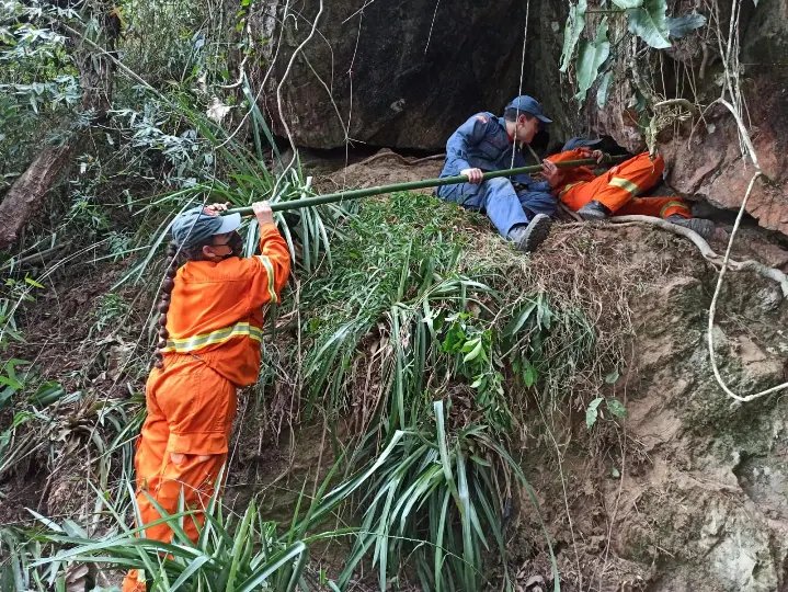 Cachorro &eacute; resgatado ap&oacute;s ficar 9 dias preso em rocha