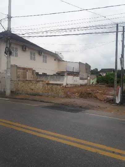 S&oacute; este ano j&aacute; foram solicitadas 7 derrubadas em Brusque