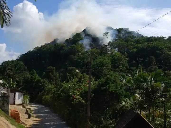 Inc&ecirc;ndio atinge vegeta&ccedil;&atilde;o no bairro Dom Joaquim