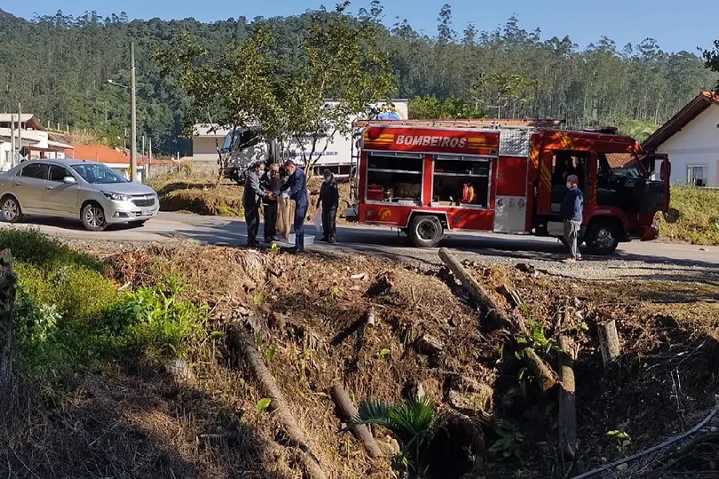 Bombeiros auxiliam animal silvestre ferido