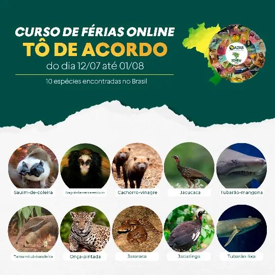 Parque Zoobot&acirc;nico participa de programa&ccedil;&atilde;o on-line de f&eacute;rias com mais de 20 institui&ccedil;&otilde;es brasileiras