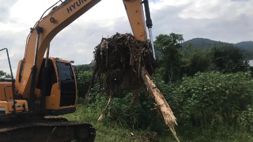 Realizada a limpeza da represa da capta&ccedil;&atilde;o de &aacute;gua no Guarani