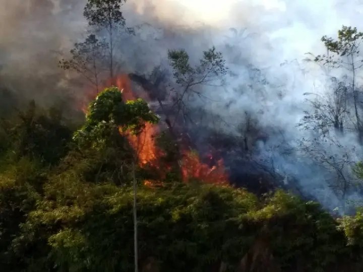 V&iacute;deo: Bombeiros s&atilde;o acionados para combate a inc&ecirc;ndio em vegeta&ccedil;&atilde;o