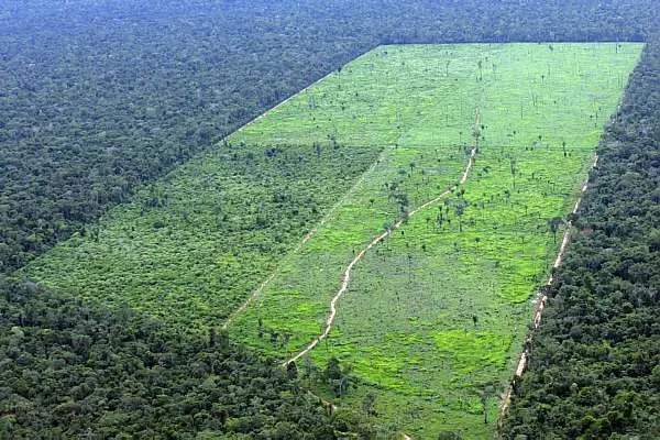 Desmatamento na Amazônia aumenta 28%
