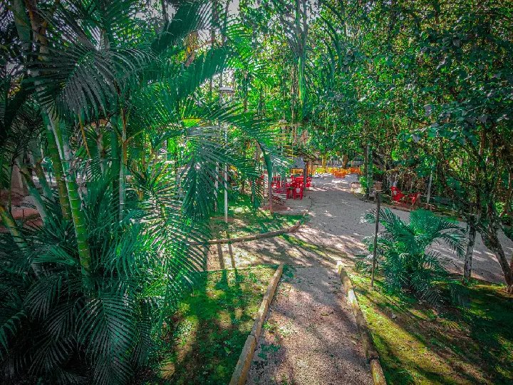 Samae realiza manuten&ccedil;&otilde;es no Parque Leopoldo Moritz