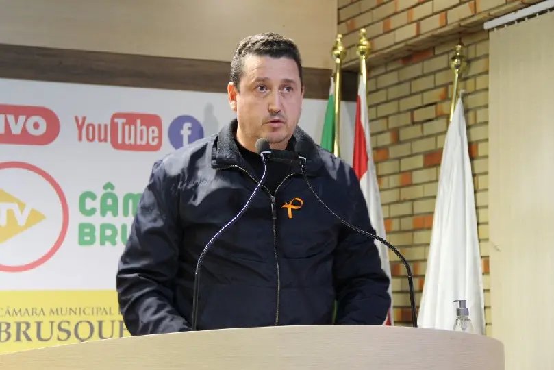 Lei regulamenta cria&ccedil;&atilde;o de abelhas sem ferr&atilde;o em Brusque