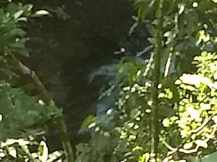 Homem sofre queda em cachoeira no Cedro Alto