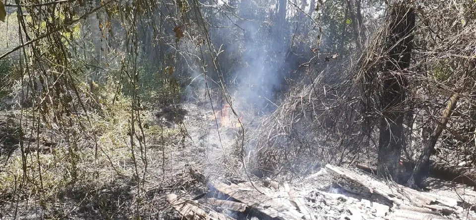 Bombeiros atendem inc&ecirc;ndio em vegeta&ccedil;&atilde;o no bairro &Aacute;guas Claras