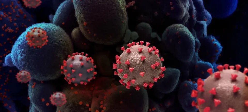 Brasil registra mais de 500 mil mortos por covid-19