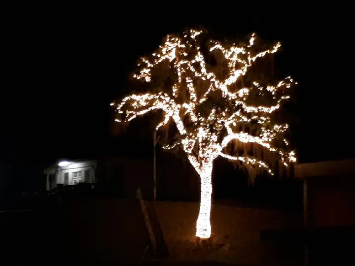 Centro Industrial Renaux já está em clima de natal