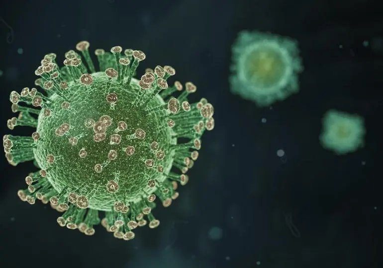 Nova morte faz Brusque chegar aos 253 &oacute;bitos durante a pandemia