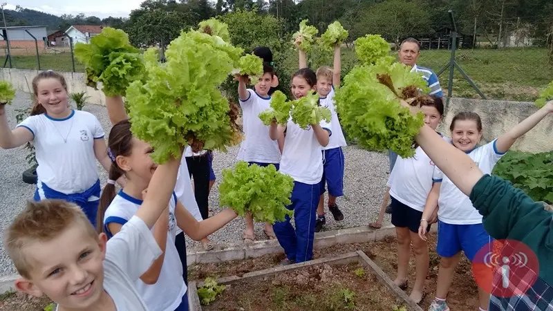 Educando com a Horta Escolar