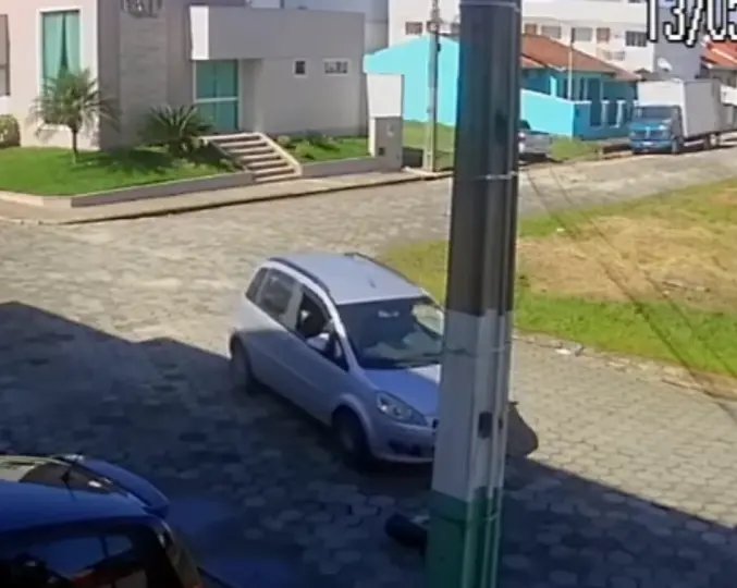 Atropelamento de c&atilde;o ser&aacute; investigado pela Pol&iacute;cia Civil de Brusque  