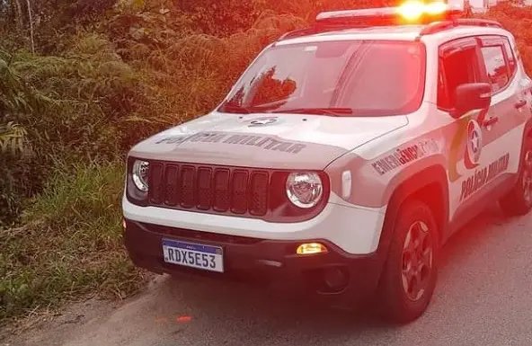 Homem &eacute; preso ap&oacute;s furtar cachorro de resid&ecirc;ncia, em Guabiruba