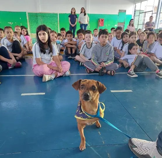 Programa Bem Estar Animal realiza palestras nas escolas