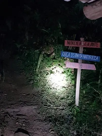 Jovem se perde na mata em Guabiruba