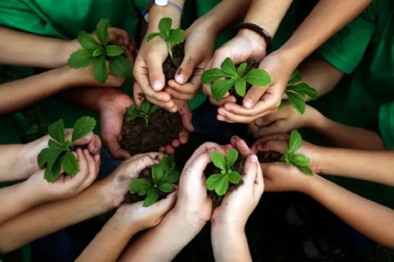 Fundema realiza plantio de compensa&ccedil;&atilde;o de emiss&atilde;o de CO2