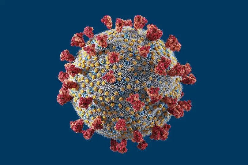 Covid-19: Sa&uacute;de atualiza n&uacute;meros com o boletim epidemiol&oacute;gico da semana