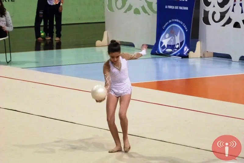 Campeonato estadual de ginástica movimenta arena