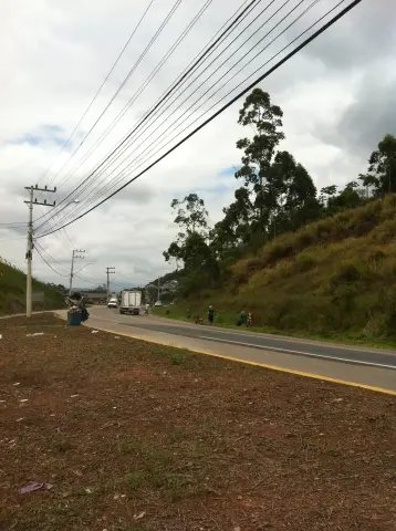 Secretaria limpa margens da Rodovia Ivo Silveira