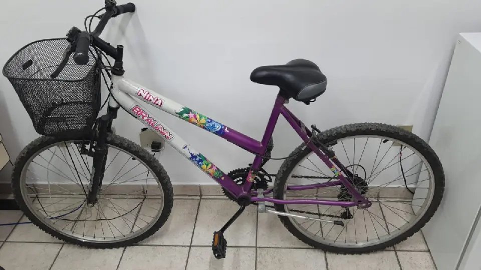 Pol&iacute;cia Civil de Brusque recupera bicicleta furtada e vendida por R$25,00 e uma carteira de cigarro