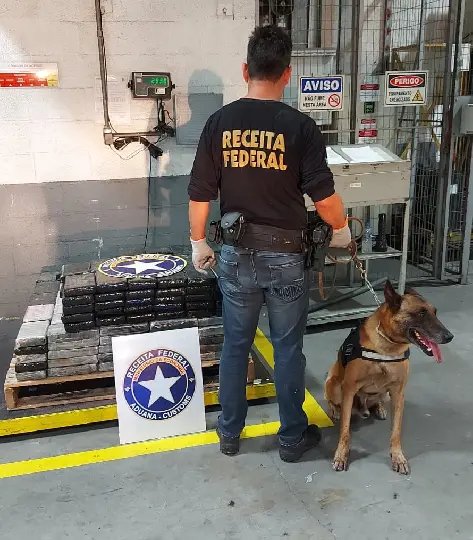(V&iacute;deo) Receita Federal apreende 293 kg de coca&iacute;na no Porto de Itaja&iacute;