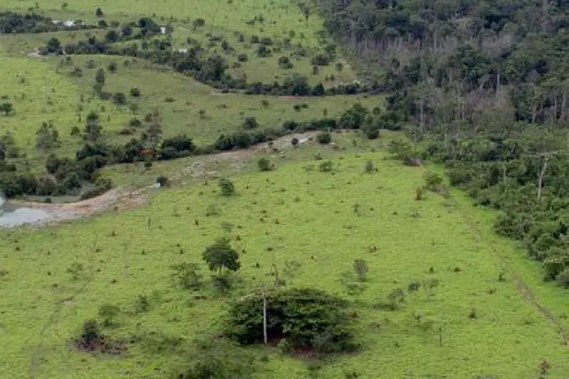 Come&ccedil;a hoje prazo para entrega da declara&ccedil;&atilde;o de propriedade rural