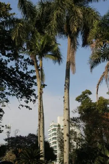 Tempo muda a partir desta quarta-feira e traz chuva a SC