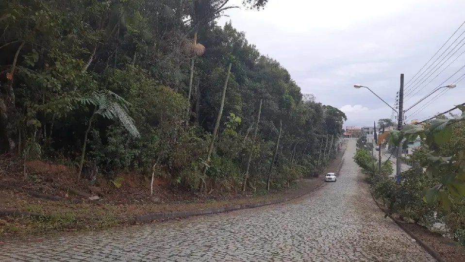 (Video) Associa&ccedil;&atilde;o de Moradores questiona corte de &aacute;rvores de &aacute;rea ecol&oacute;gica