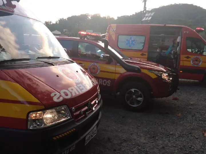 Um grupo de pessoas foi parar no hospital ap&oacute;s ataque de abelhas, em Gaspar