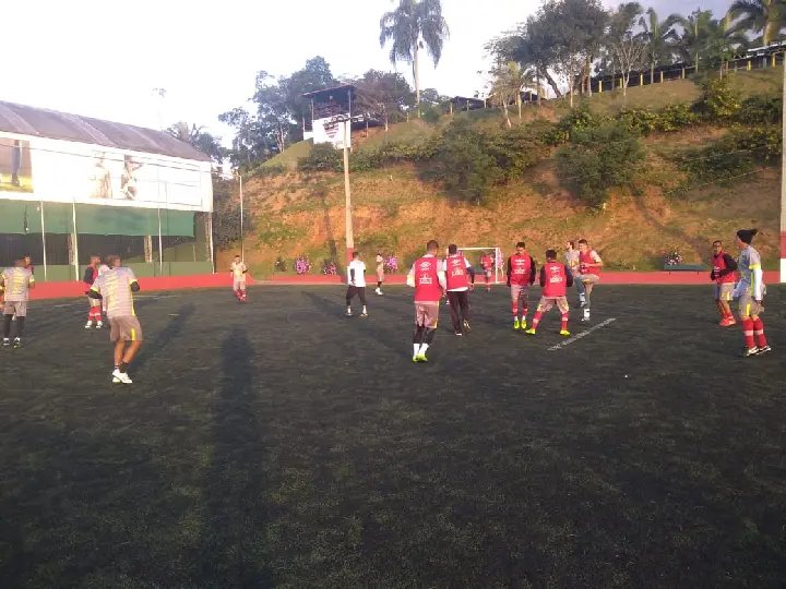Brusque volta aos treinamentos ap&oacute;s retornar da Bahia