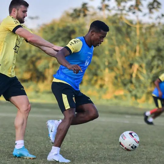 Brusque se reapresenta com novidades