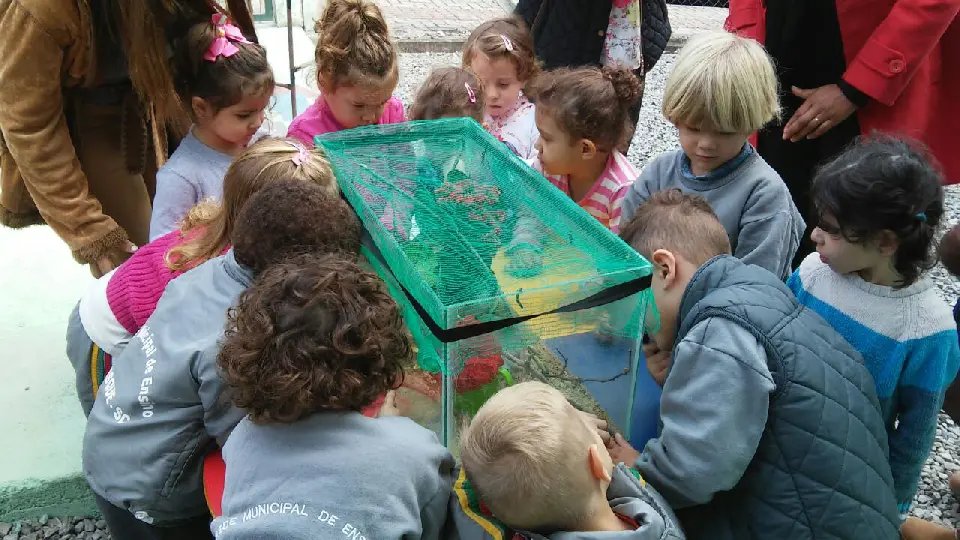 Conheça o projeto ′O Segredo da Lagarta: Conhecendo as Borboletas′
