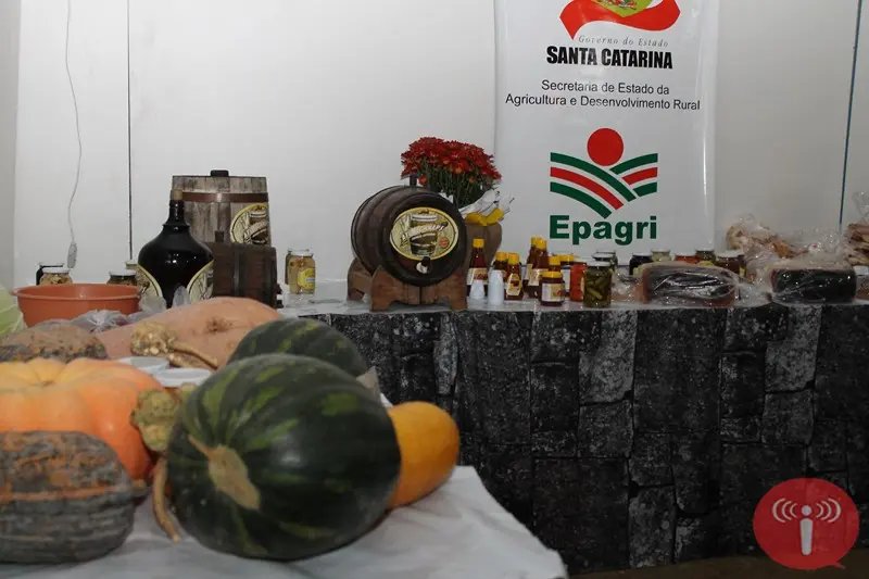 Reforço no comércio da agricultura familiar