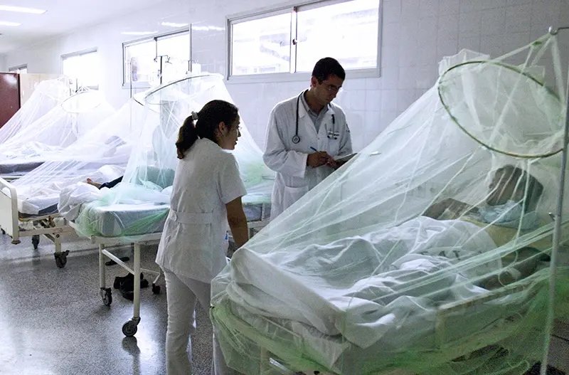 Dengue em SC já chega a 1.634 casos confirmados