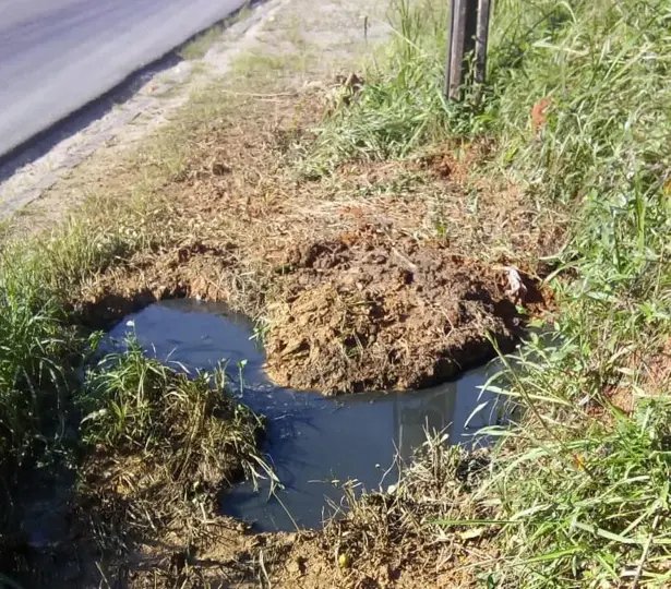Esgoto a c&eacute;u aberto est&aacute; causando doen&ccedil;as e perigo na via