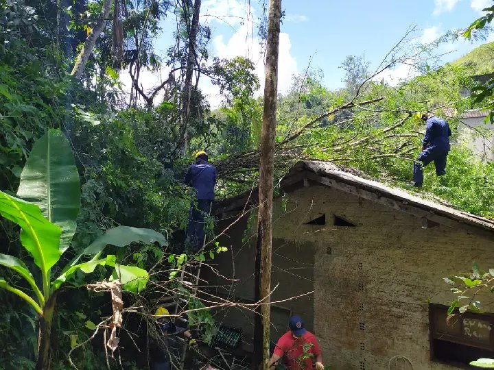 &Aacute;rvore cai sob telhado de casa, no Azambuja