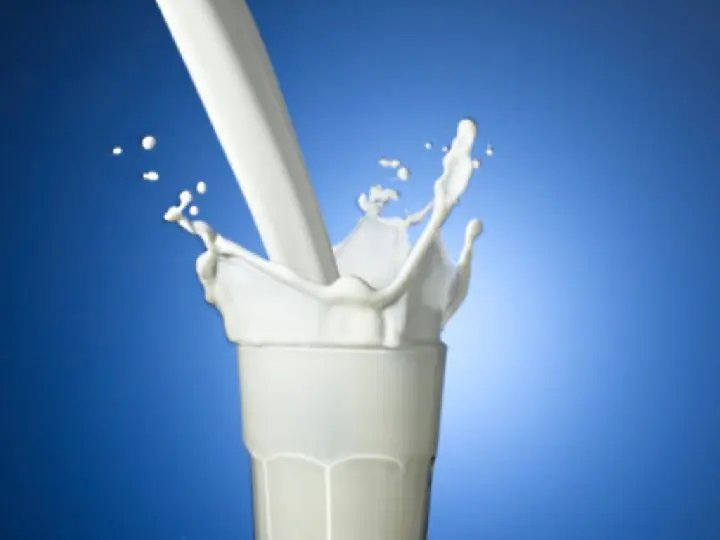 Suspeita sobre uso de antibiótico em leite cru é descartada