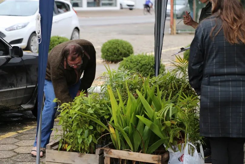 Prefeitura distribui mudas de &aacute;rvores nativas nesta quarta