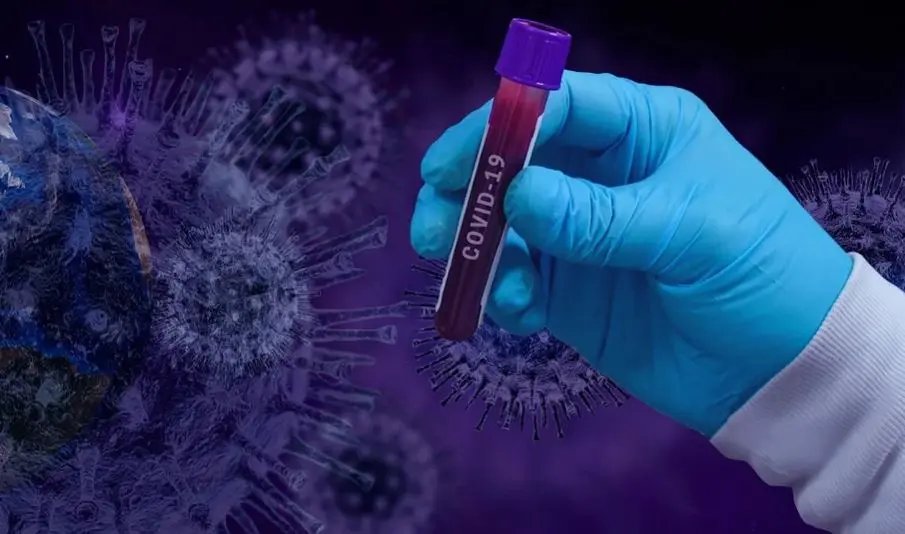 Guabiruba n&atilde;o registra novos casos de covid-19