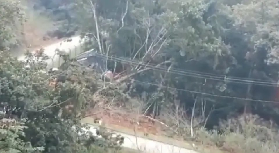 (V&Iacute;DEO) Derrubada de &aacute;rvores chama aten&ccedil;&atilde;o de moradores