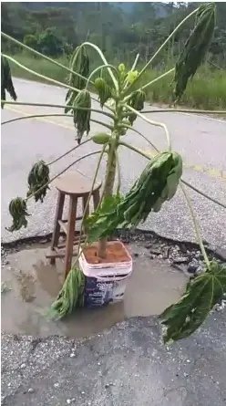 (V&Iacute;DEO) P&eacute; de mam&atilde;o no buraco da rodovia mostra indigna&ccedil;&atilde;o