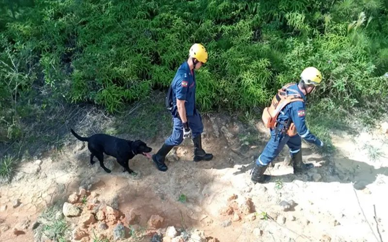 Corpo de homem desaparecido &eacute; encontrado na mata