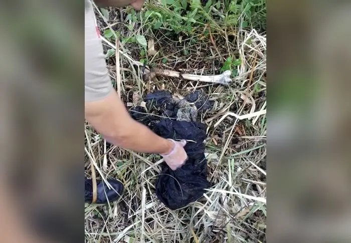 Ossada humana é encontrada em trilha