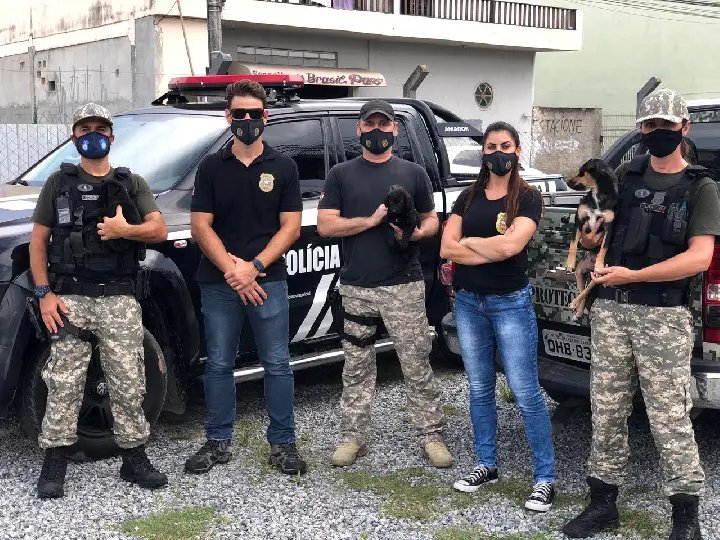 Policia Civil apreende mala com filhotes de c&atilde;es